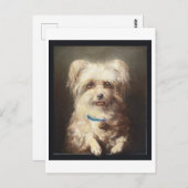 Witte hond met blauwe kraag  briefkaart (Voorkant / Achterkant)