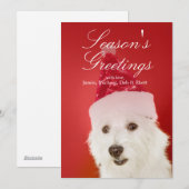 Witte hond met het pet van de Kerstman Feestdagenkaart (Voorkant / Achterkant)