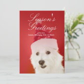Witte hond met het pet van de Kerstman Feestdagenkaart (Staand voorkant)