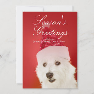 Witte hond met het pet van de Kerstman Feestdagenkaart