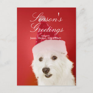 Witte hond met kerstmuts feestdagenkaart