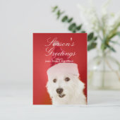 Witte hond met kerstmuts feestdagenkaart (Staand voorkant)