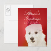 Witte hond met kerstmuts feestdagenkaart (Voorkant / Achterkant)