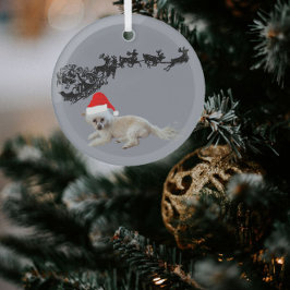 Witte Hond met Santa Hat | Slee en rendieren Glas Ornament