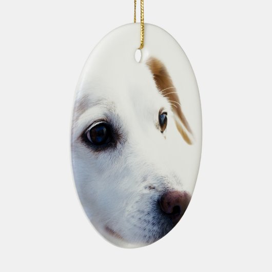 Witte hond met trouwe ogen, Diergezelschapsdieren  Keramisch Ornament (Rechts)