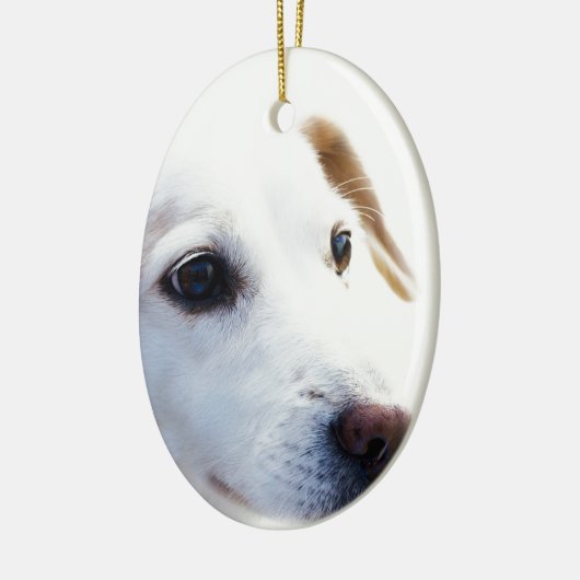 Witte hond met trouwe ogen, Diergezelschapsdieren  Keramisch Ornament (Links)