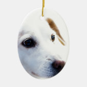 Witte hond met trouwe ogen, Diergezelschapsdieren  Keramisch Ornament (Voorkant)