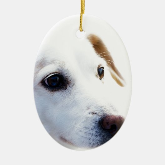 Witte hond met trouwe ogen, Diergezelschapsdieren Keramisch Ornament (Voorkant)