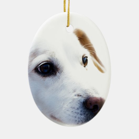 Witte hond met trouwe ogen, Diergezelschapsdieren  Keramisch Ornament (Achterkant)