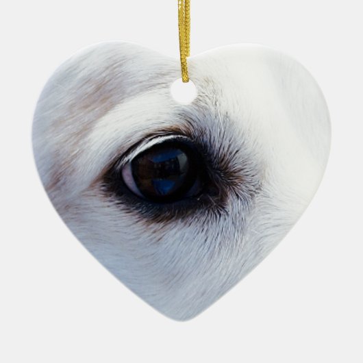 Witte hond met trouwe ogen, Diergezelschapsdieren Keramisch Ornament (Voorkant)