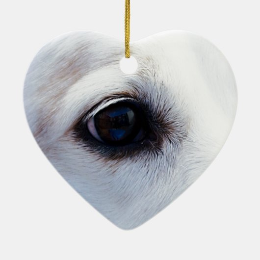 Witte hond met trouwe ogen, Diergezelschapsdieren  Keramisch Ornament (Achterkant)