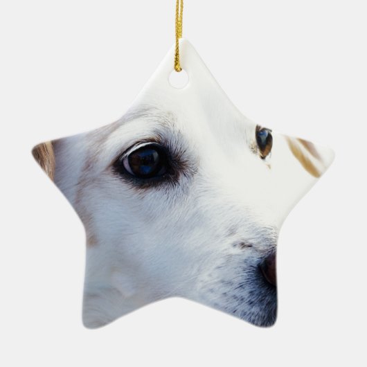 Witte hond met trouwe ogen, Diergezelschapsdieren  Keramisch Ornament (Voorkant)
