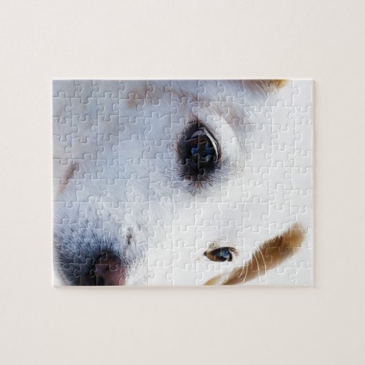 Witte hond met trouwe ogen, Diergezelschapsdieren  Legpuzzel (Horizontaal)