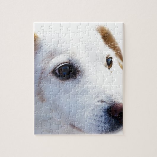 Witte hond met trouwe ogen, Diergezelschapsdieren  Legpuzzel (Verticaal)