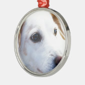 Witte hond met trouwe ogen, Diergezelschapsdieren  Metalen Ornament (Links)