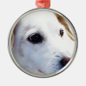 Witte hond met trouwe ogen, Diergezelschapsdieren  Metalen Ornament (Voorkant)