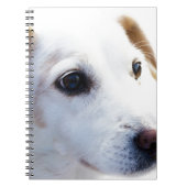 Witte hond met trouwe ogen, Diergezelschapsdieren  Notitieboek (Voorkant)