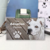 Witte Hond Pet Rescue of dierenarts Visitekaartje