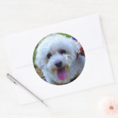 Witte hond ronde sticker (Envelop)