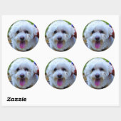 Witte hond ronde sticker (Vel)