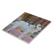 Witte hond tegeltje (Zijkant)