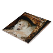 Witte hond tegeltje (Zijkant)