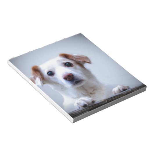 Witte hond. Zo'n kudde. Notitieblok (Schuin)