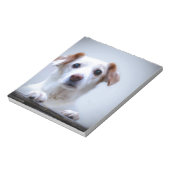 Witte hond. Zo'n kudde. Notitieblok (Linkerzijde)