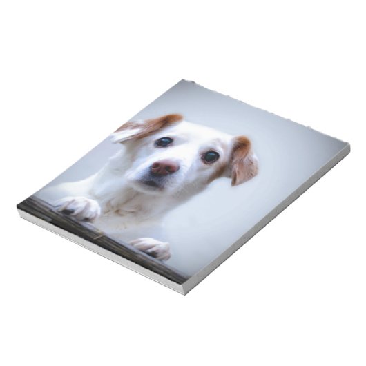 Witte hond. Zo'n kudde. Notitieblok (Linkerzijde)