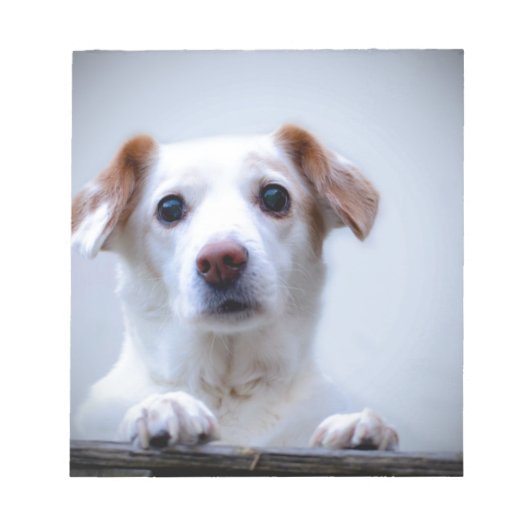 Witte hond. Zo'n kudde. Notitieblok (Voorkant)