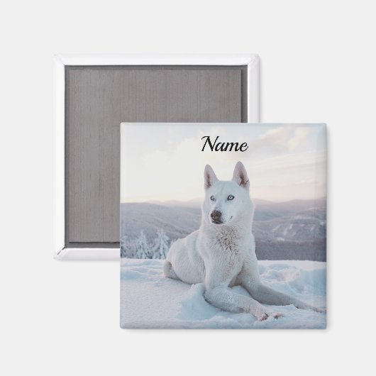 Witte hondje in de sneeuw magneet (Voorkant / Achterkant)