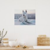 Witte hondje in de sneeuw poster (Keuken)