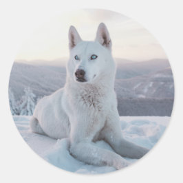 Witte hondje in de sneeuw ronde sticker