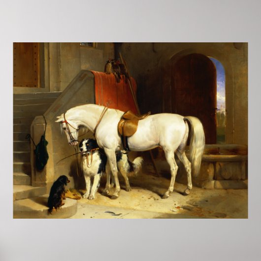 WITTE HORSE MET HONDEN EN DALCONS IN STABIEL POSTER (Voorkant)