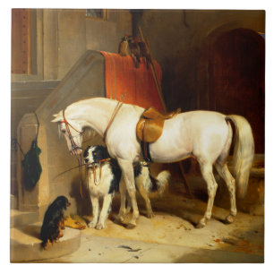 WITTE HORSE MET HONDEN EN DALCONS IN STABIEL TEGELTJE
