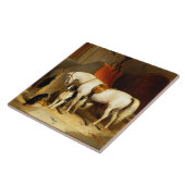 WITTE HORSE MET HONDEN EN DALCONS IN STABIEL TEGELTJE (Zijkant)