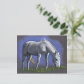 WITTE HORSE: REALISM COLOR PENCIL BRIEFKAART (Staand voorkant)