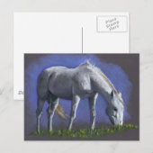 WITTE HORSE: REALISM COLOR PENCIL BRIEFKAART (Voorkant / Achterkant)