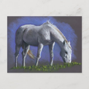 WITTE HORSE: REALISM COLOR PENCIL BRIEFKAART