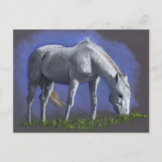 WITTE HORSE: REALISM COLOR PENCIL BRIEFKAART (Voorkant)