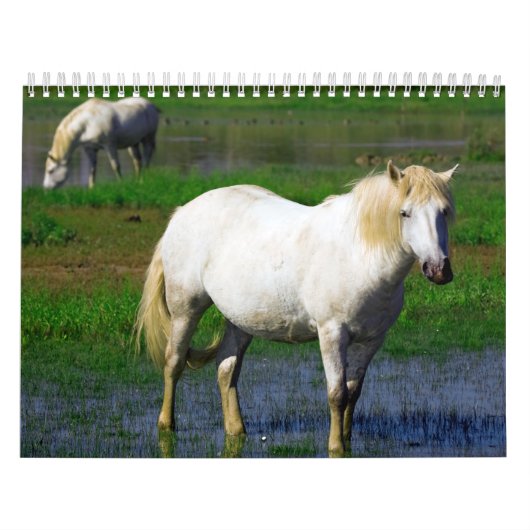 WITTE HORSES KALENDER (Hoes)