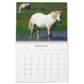 WITTE HORSES KALENDER (Jan 2026)