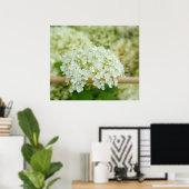 Witte hortensia poster (Thuiskantoor)