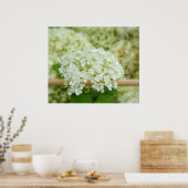 Witte hortensia poster (Keuken)