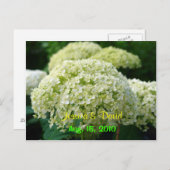 Witte hortensia Save the Date Briefkaart (Voorkant / Achterkant)