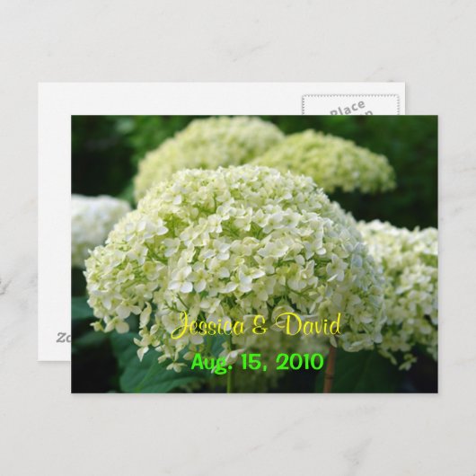 Witte hortensia Save the Date Briefkaart (Voorkant / Achterkant)