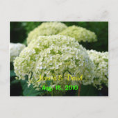 Witte hortensia Save the Date Briefkaart (Voorkant)
