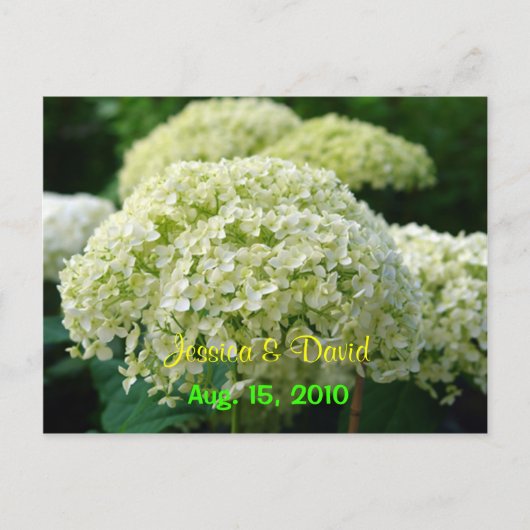 Witte hortensia Save the Date Briefkaart (Voorkant)