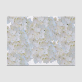 Witte Hortensia Tissuepapier