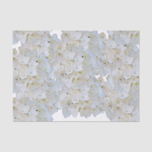 Witte Hortensia Tissuepapier (Voorkant)